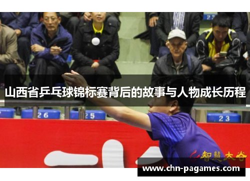 山西省乒乓球锦标赛背后的故事与人物成长历程 山西省乒乓球锦标赛背后的故事与人物成长历程