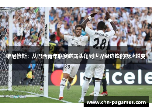 维尼修斯:从巴西青年联赛崭露头角到世界级边锋的极速蜕变 维尼修斯:从巴西青年联赛崭露头角到世界级边锋的极速蜕变