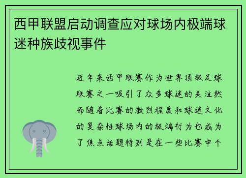 西甲联盟启动调查应对球场内极端球迷种族歧视事件